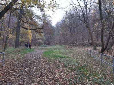 Platz im Hagenbachtal neben dem Flußlauf