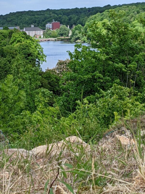 Blick vom Schloß auf die Mulde